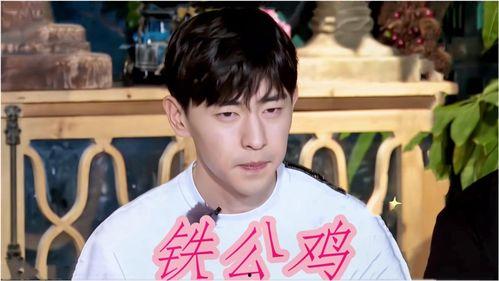 娱乐圈爆料明星名单大全,揭秘明星私生活背后的真相  第2张